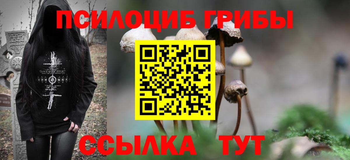 Вязьма  Галлюциногенные грибы ЛСД  Вход с VPN  Псилоцибиновые грибы мухоморы 